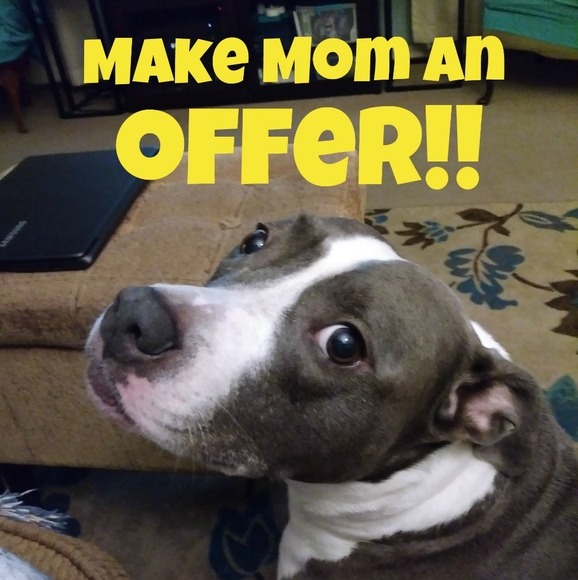 ABOUT OFFERS - Picture 2 of 8